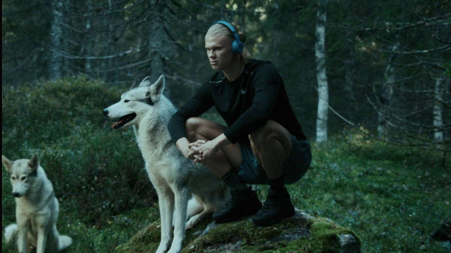 返曼聯不仅 返曼聯不仅