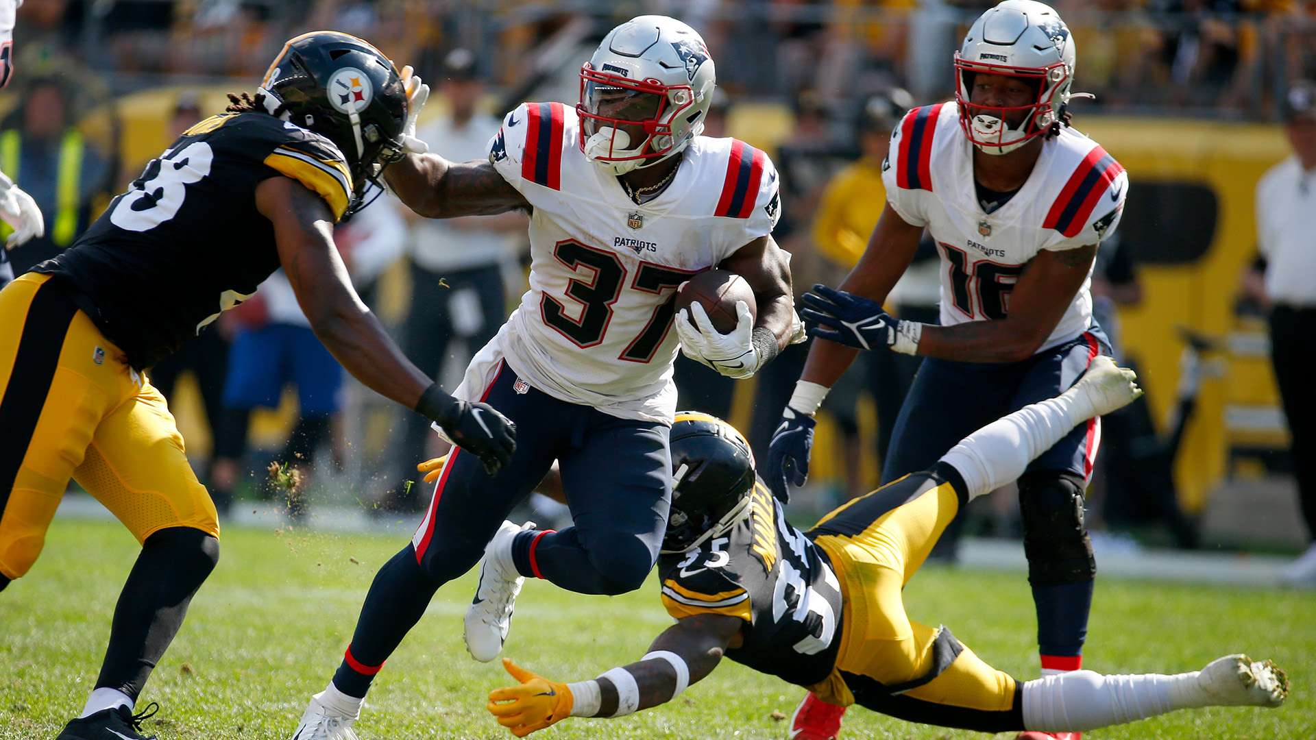 他目前的投 他目前的投